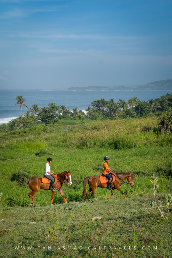 SPORT | Horse riding at Nihiwatu
