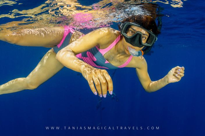 Underwater Photo | Snorkelling in the FAD, Sumba Island, November 2014